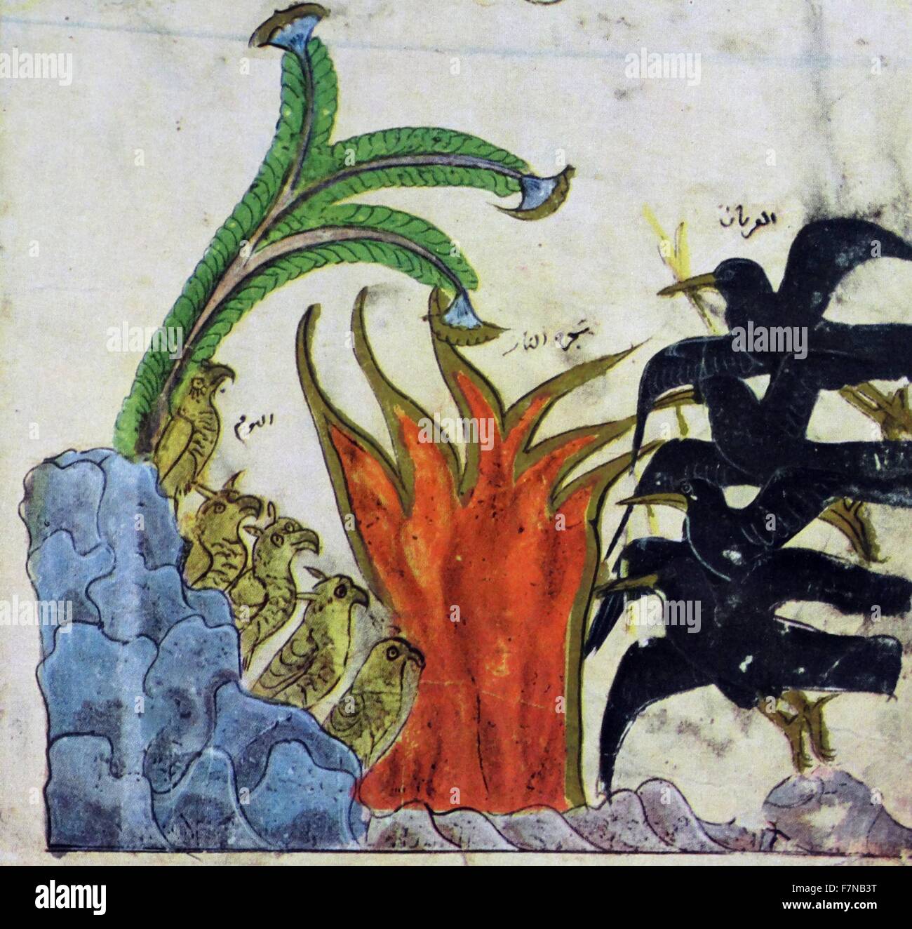 Da una pittura siriana. I gufi sono bruciate a morte dai corvi., è uno del Panchatantra, un indiano antico inter-relativa raccolta delle favole di animali in versi e in prosa. L'originale lavoro in sanscrito, che alcuni studiosi ritengono fu composto nel III secolo A.C. Una nuova versione di Persiano dal XII secolo divenne noto come Kalīleh Demneh o. Il libro in forma diversa è anche noto come le fiabe di Bidpai. Xiii secolo Foto Stock