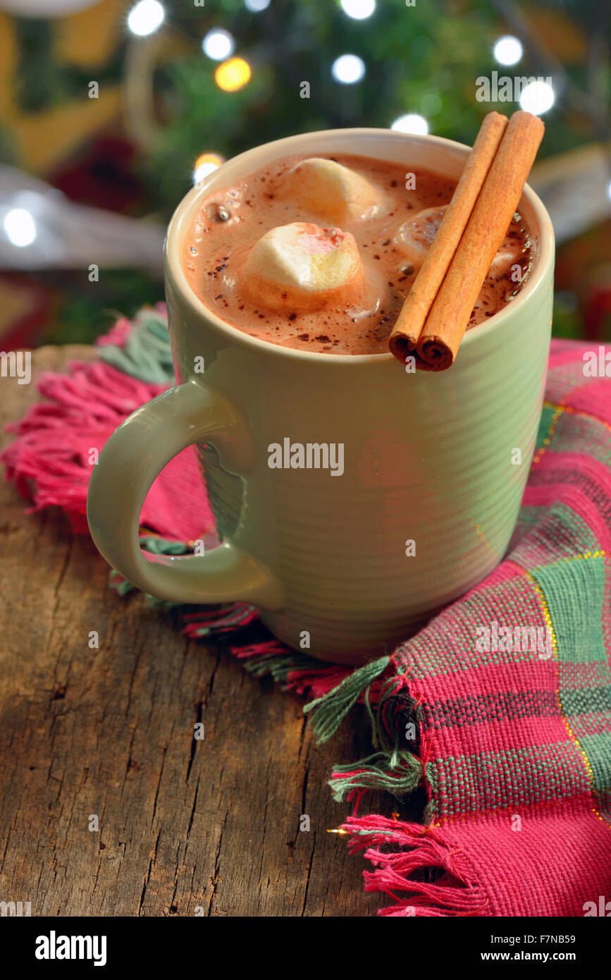 Cioccolata calda con marshmallows in inverno Foto Stock