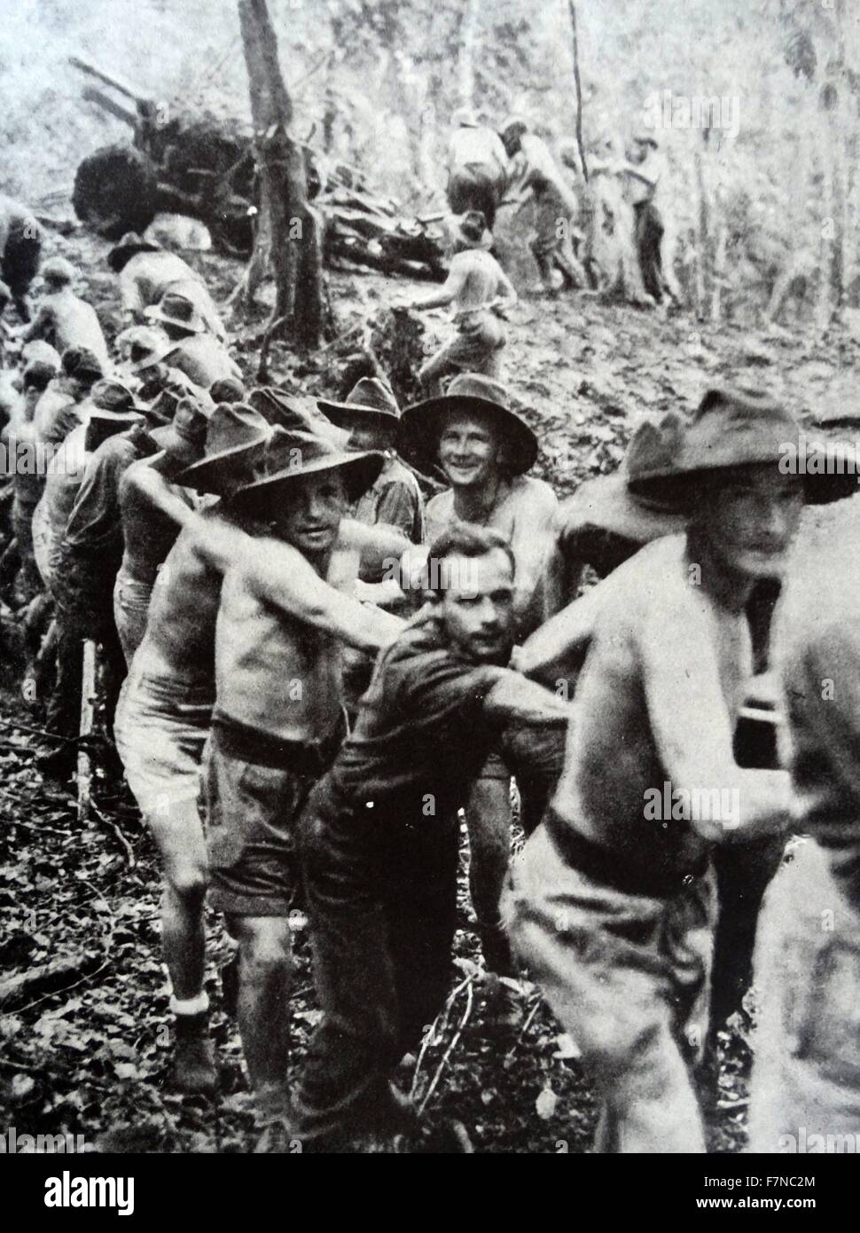 Fotografia dei soldati australiani trasporta un 25-pounder attraverso una radura in Nuova Guinea Jungle durante la nuova campagna di Guinea. Datata 1942 Foto Stock