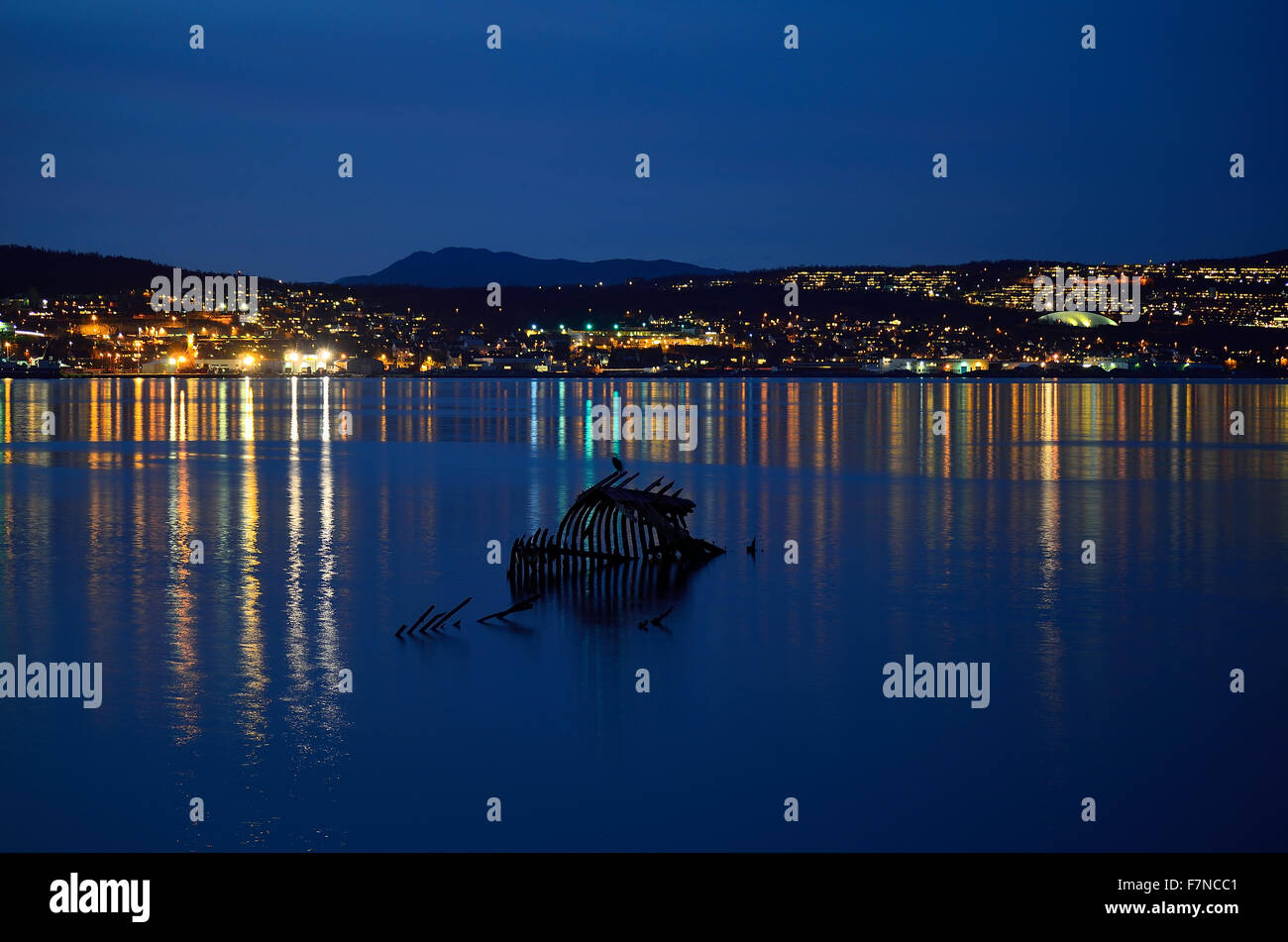 Lone cormorano uccello seduto su un alterato in legno antico relitto della nave in bianco crema fjord acqua a notte con la città isola di tr Foto Stock