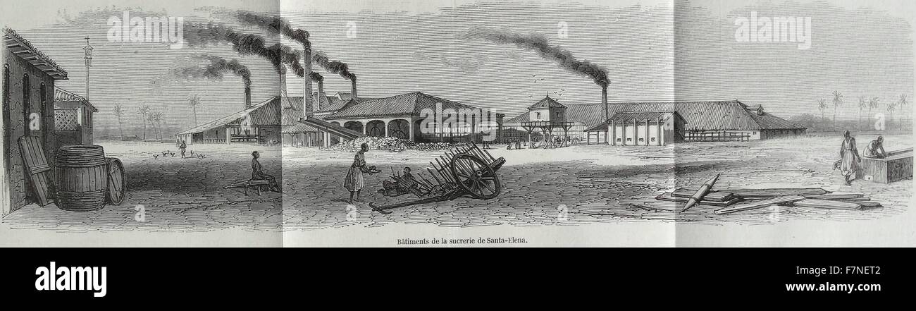 Piantagione di zucchero in francese il Caribe nel 1860 circa Foto Stock