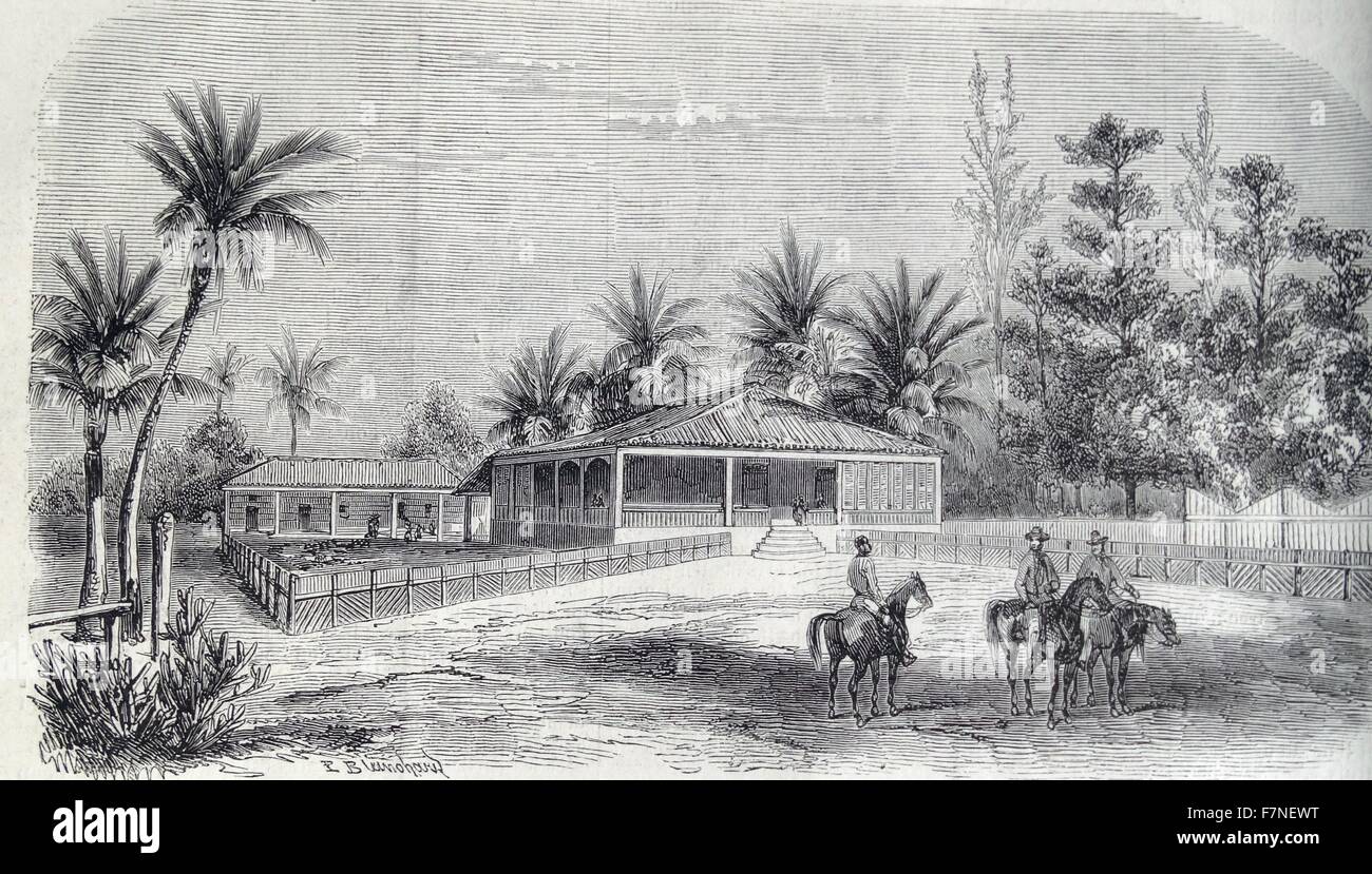 Piantagione di zucchero in francese il Caribe nel 1860 circa Foto Stock