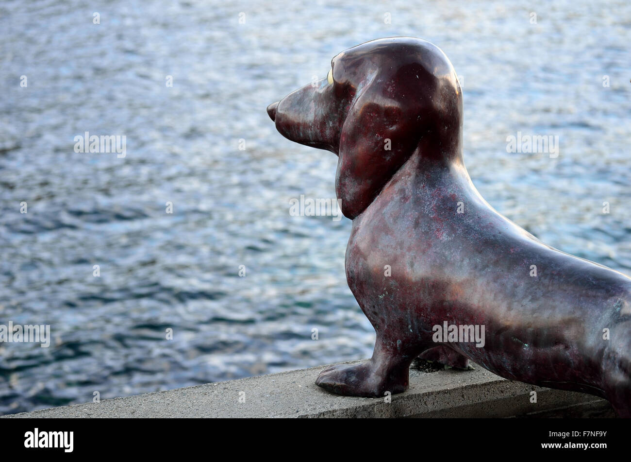 Bello cane scultura guardando fuori oltre il porto di tromsoe Foto Stock