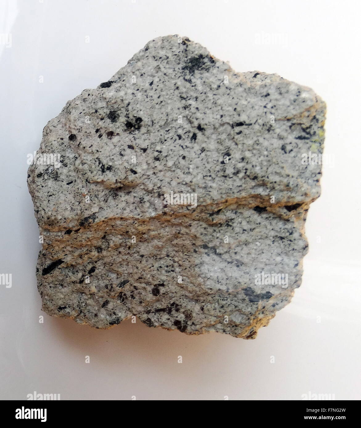 Dacite Porphyritic, una roccia ignea, roccia vulcanica. Santa Lucia, West Indies. Foto Stock
