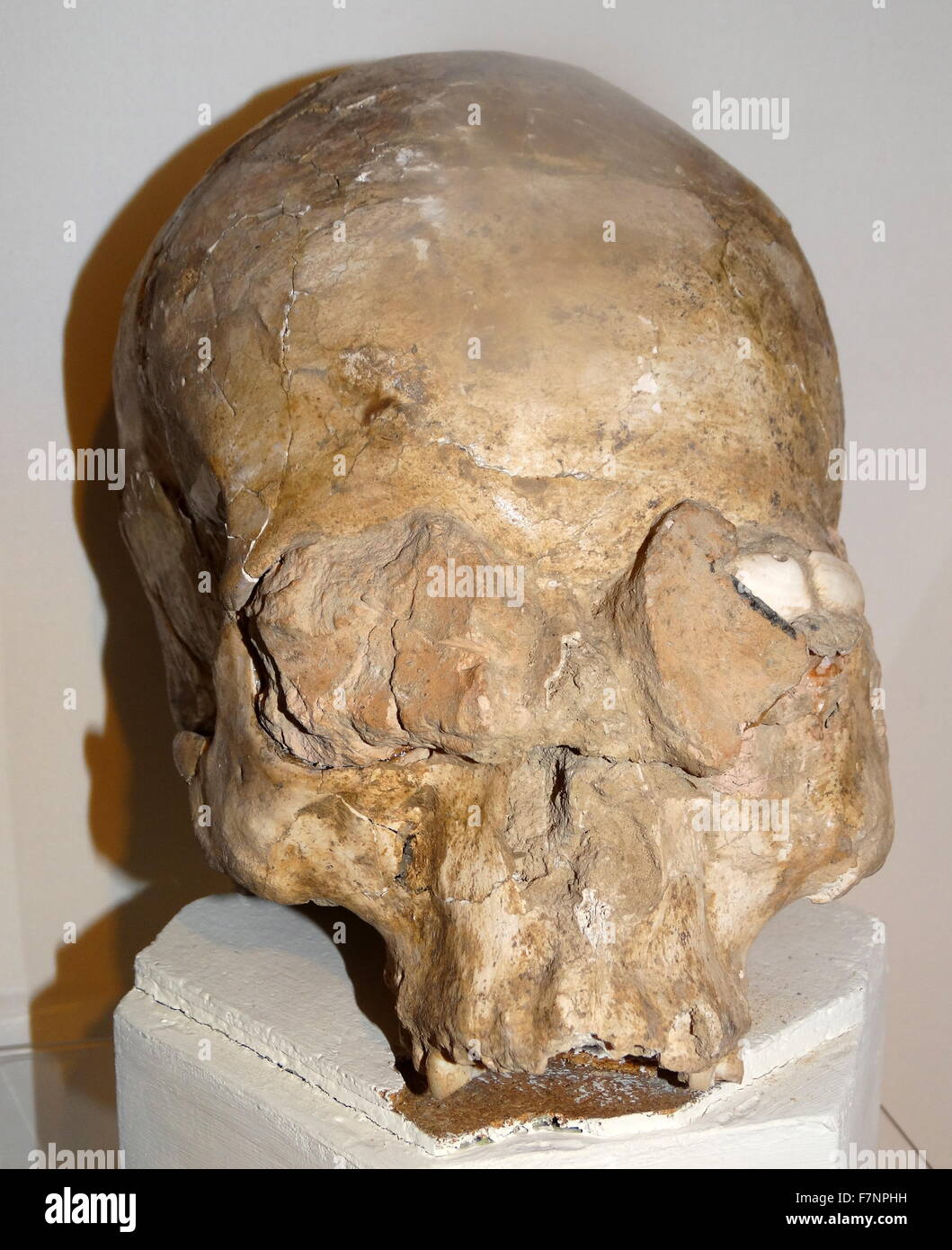Cranio modellato in gesso e pezzi di guscio, intarsiato da Gerico, Neolitico Pre-Pottery B. datata 6000 BC Foto Stock