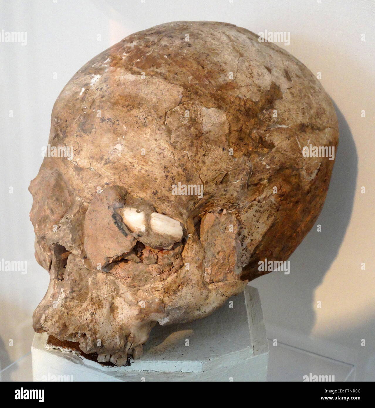 Cranio modellato in gesso e pezzi di guscio, intarsiato da Gerico, Neolitico Pre-Pottery B. datata 6000 BC Foto Stock