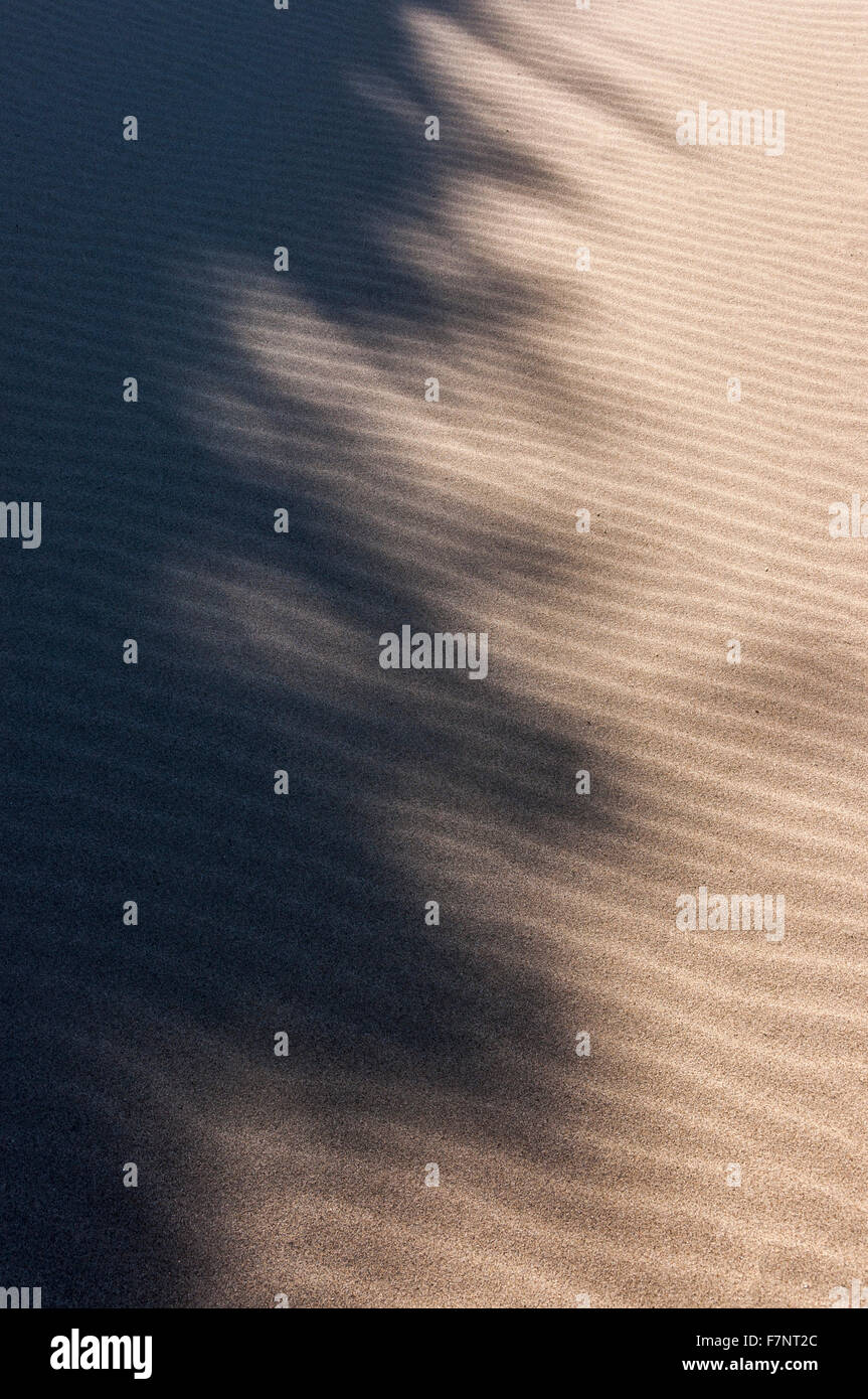 Immagine astratta di sun e Ombre sulla sabbia ondulata. Foto Stock