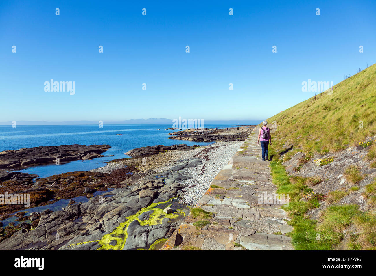 Una donna che cammina lungo il percorso costiero dell'Ayrshire a Troon, Scozia, Regno Unito Foto Stock