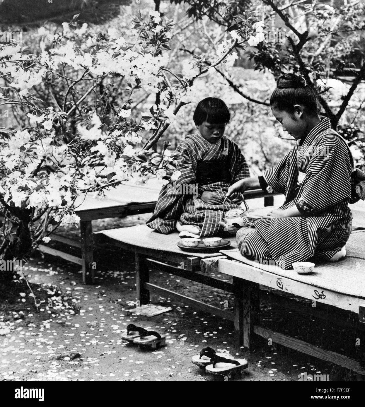 Stampa fotografica su carta stereo intitolata "sotto la fioritura dei ciliegi nel regno fiorito, Giappone". Foto di due giovani donne giapponesi seduti sui banchi di basso, di tè, in un padiglione coperto o teahouse con ciliegi fioritura in background: geta sono sul terreno accanto a banchi. Datata 1943 Foto Stock