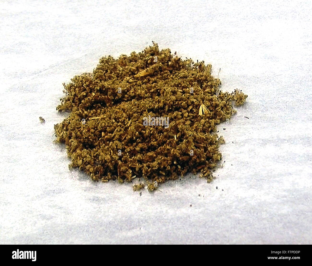 La cannabis sintetica K2 Spice Foto Stock