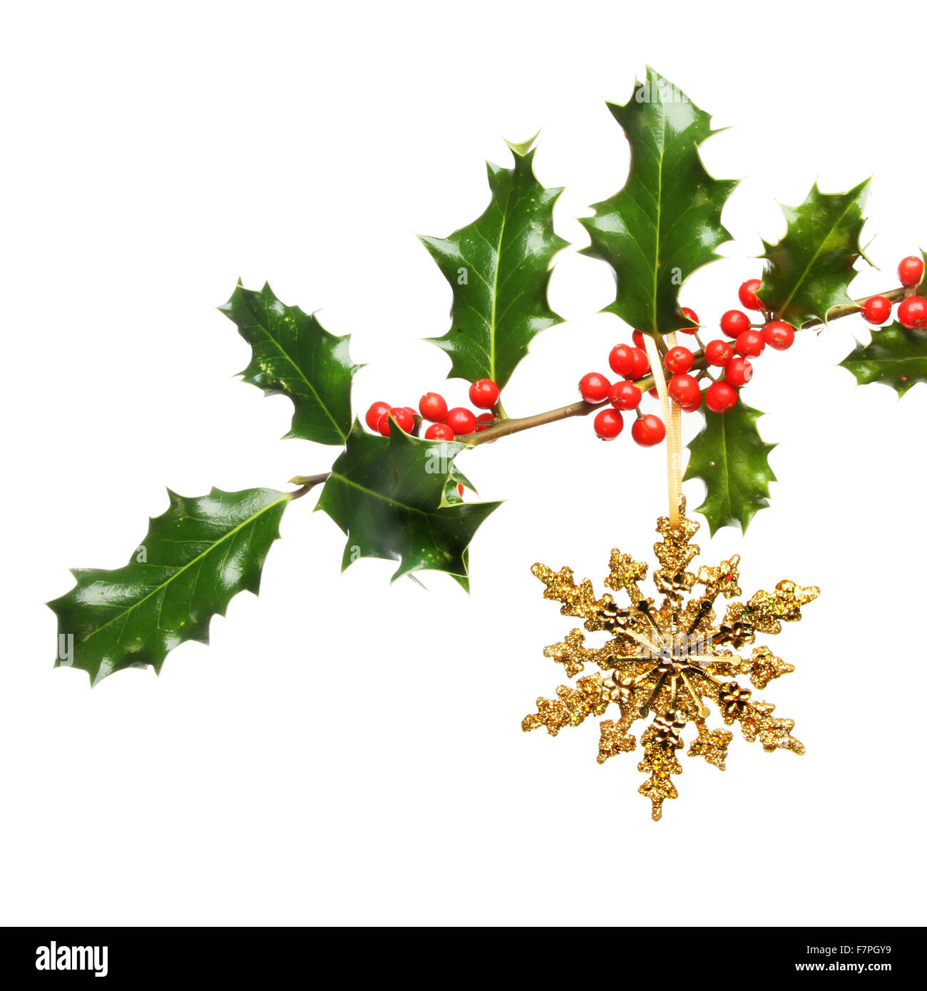 Natale glitter oro decorazione stella appesa a holly fronda isolata contro bianco Foto Stock