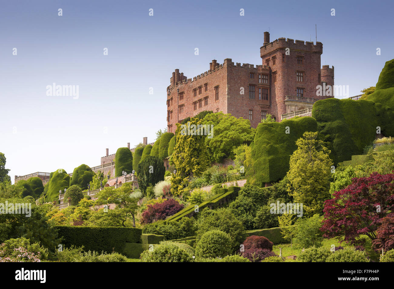 Vista di Powis Castle, arroccato sopra i suoi giardini terrazzati, Powys, il Galles, in agosto. Foto Stock