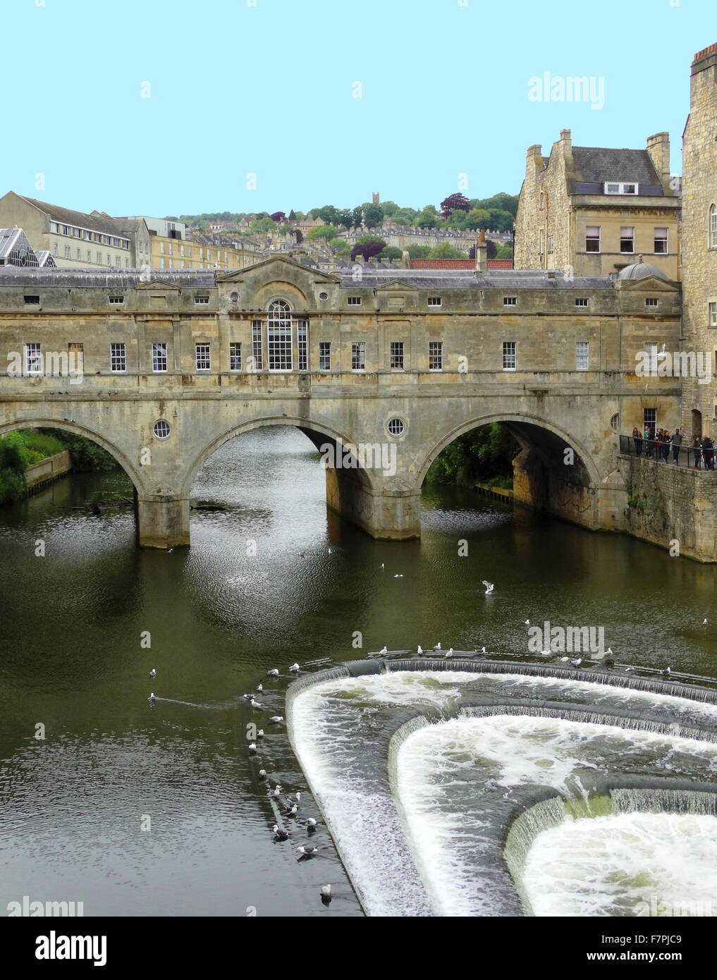 Pulteney Bridge sul fiume Avon a Bath, Inghilterra. completato da 1774. Progettato da Robert Adam in stile palladiano, è eccezionale in avente negozi costruiti in tutta la sua piena span su entrambi i lati. Foto Stock