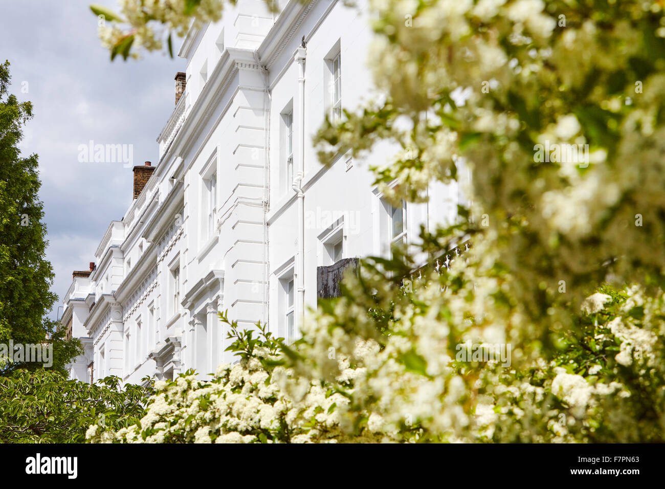 Classe superiore alloggiamento in Londra Foto Stock