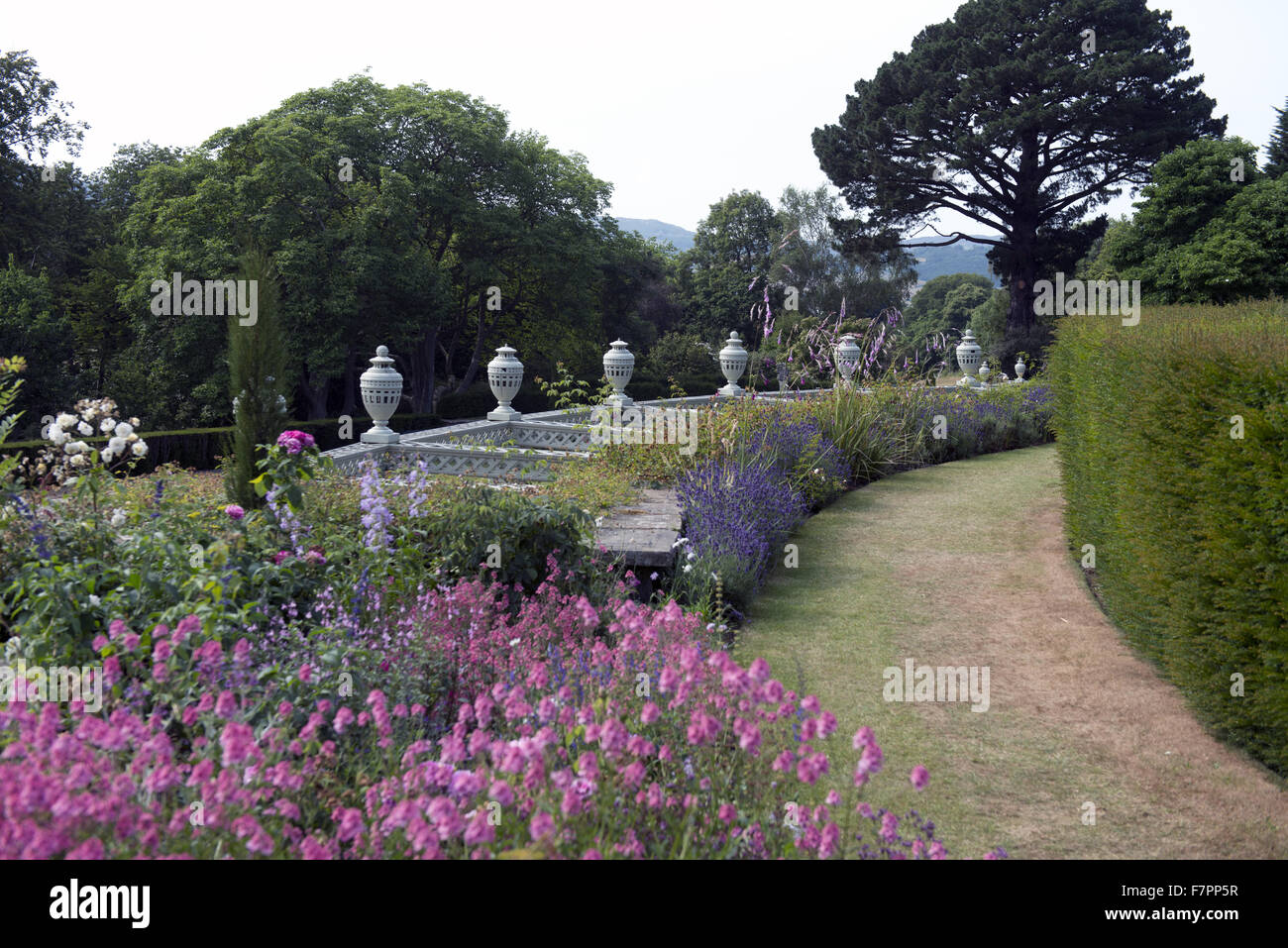 La Rosa inferiore terrazza nel mese di luglio a Bodnant Garden, Clwyd, Galles. Creato da cinque generazioni di una stessa famiglia, Bodnant sia perfettamente alloggiato entro la sua drammatica il Galles del Nord del paesaggio. Foto Stock