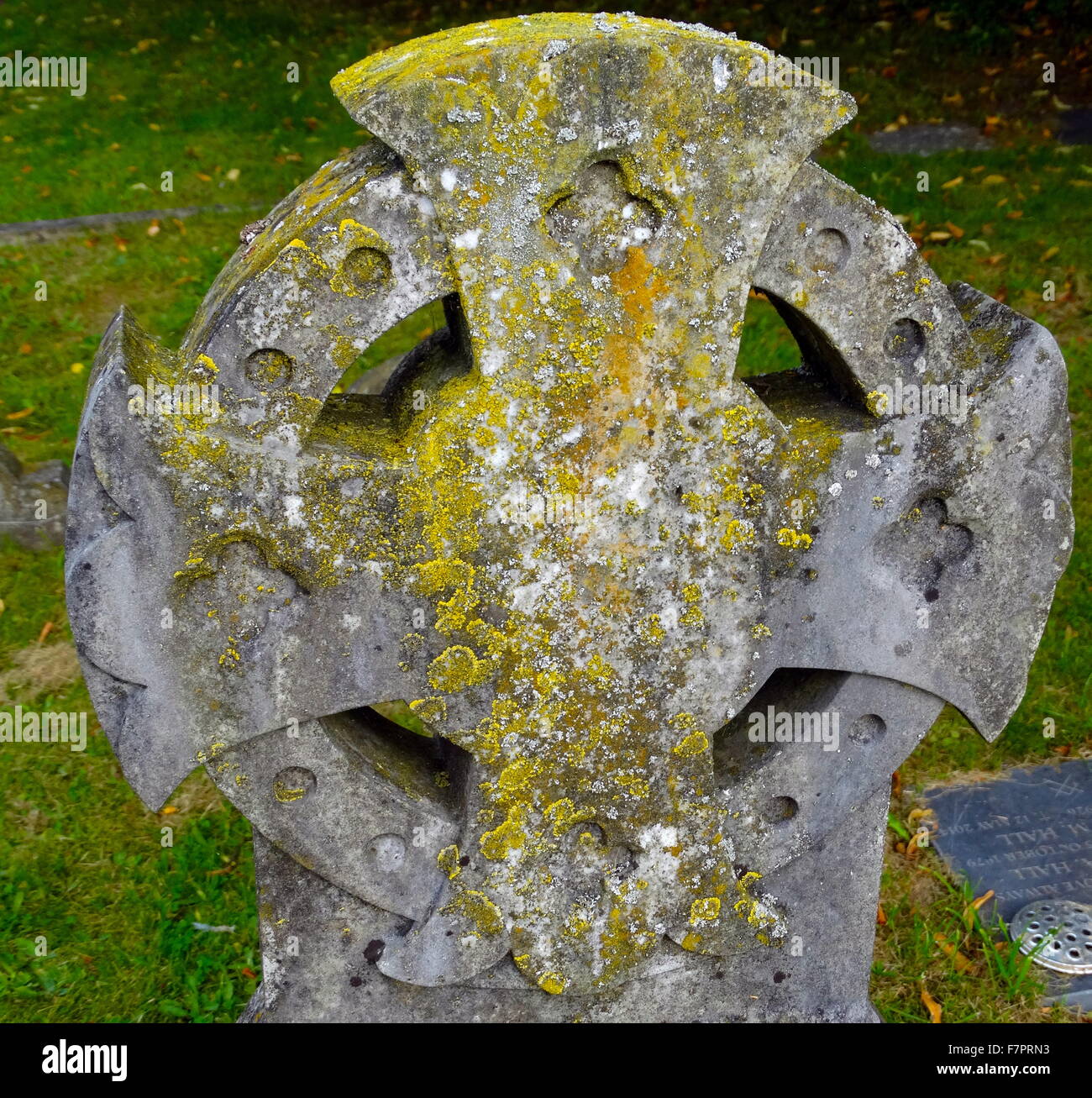 Moss oggetto contrassegnato per la rimozione definitiva a San Michele e Tutti gli angeli della chiesa anglicana, in Hughenden, Buckinghamshire, Inghilterra. Foto Stock