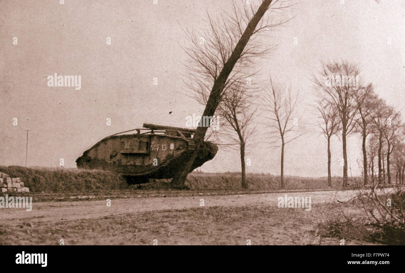 Serbatoio britannico distrugge un albero in rotta per la battaglia di Cambrai , durante la Prima Guerra Mondiale 1917. La battaglia di Cambrai era un British offensiva militare, che ha coinvolto anche il successo del primo uso di serbatoi e bracci combinato. Foto Stock