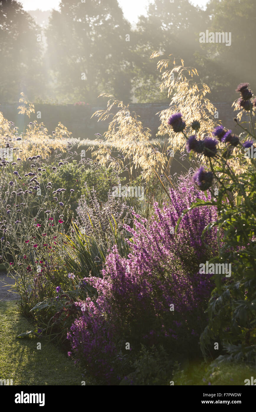 Close-up di fiori che crescono nel giardino in agosto a Packwood House, Warwickshire. Packwood House ha origini giacciono nel XVI secolo, ma è stato ampiamente restaurato nel 1920s. Foto Stock