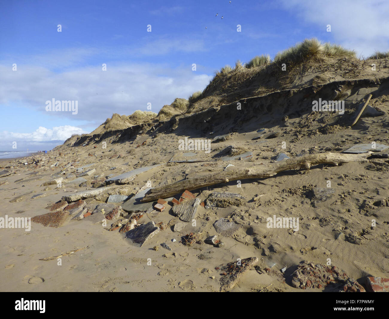 Una vista delle dune di sabbia ed esposto macerie sulla spiaggia a Formby, Liverpool, raffigurata qui a bassa marea nel marzo 2014. La rapida erosione costiera si è verificata a Formby durante l'inverno del 2013/2014, come un risultato di condizioni meteorologiche estreme e mareggiate. Cons Foto Stock