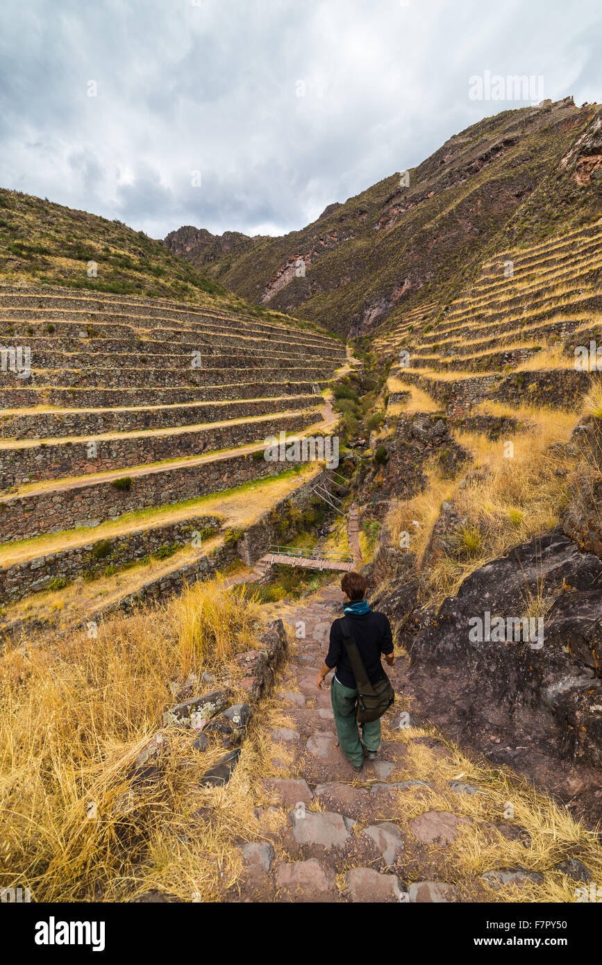 Tourist esplorando il Cammino Inca e il maestoso terrazze di Pisac, Valle Sacra, importante meta di viaggio nella regione di Cusco, P Foto Stock