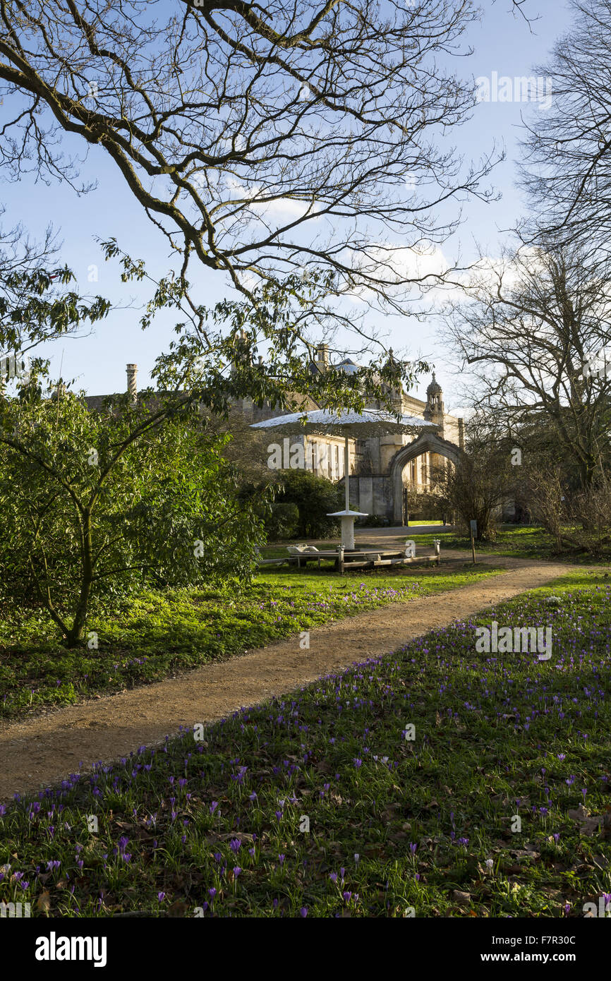Vista della facciata ovest di Lacock Abbey, Wiltshire, visto da boschi, con bucaneve e crochi in fiore lungo un percorso. Foto Stock