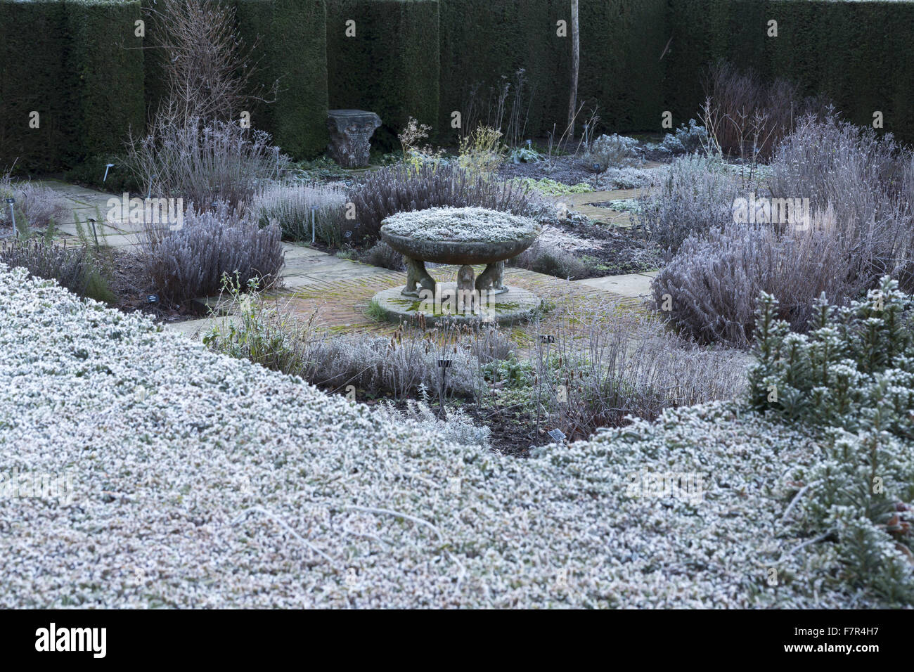 Una giornata invernale e nel giardino delle erbe presso il castello di Sissinghurst, Kent. Vita Sackville-West e Harold Nicolson ha creato un famoso Giardino di Sissinghurst, che abbraccia ogni stagione. Foto Stock