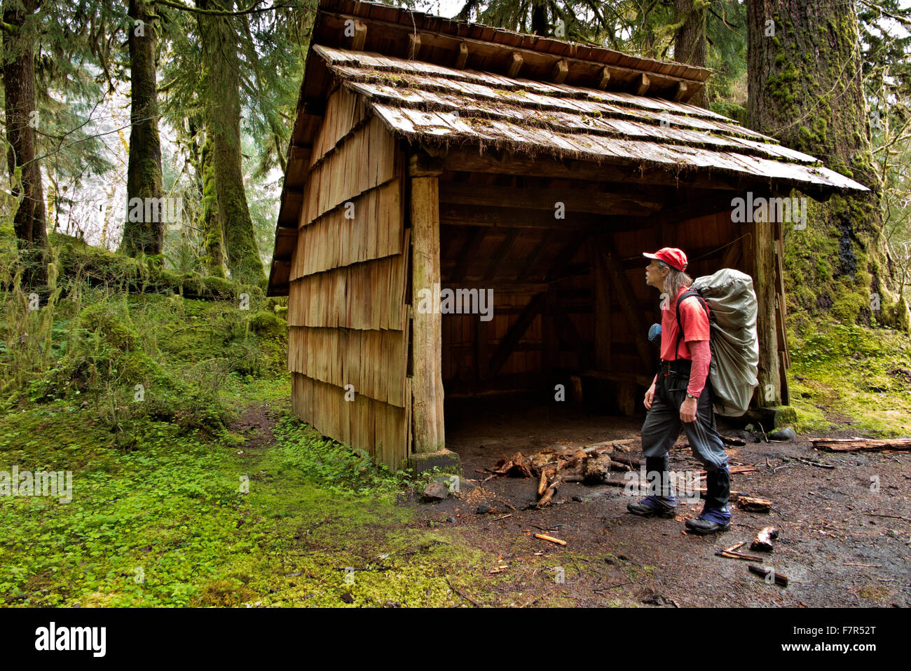 Buia e poco invitante, la felice quattro Ricovero di emergenza è estremamente benvenuti sito per freddo e umido gli escursionisti su Hoh River Trail. Foto Stock