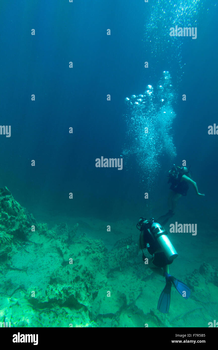 Due subacquei sotto l'acqua nelle Filippine Foto Stock