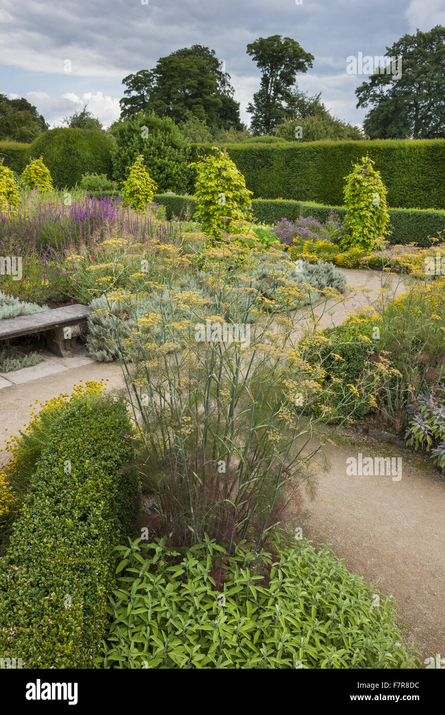 Il giardino di erbe aromatiche presso Hardwick Hall, Derbyshire. La Hardwick Station Wagon è composta da splendide case e splendidi paesaggi. Foto Stock