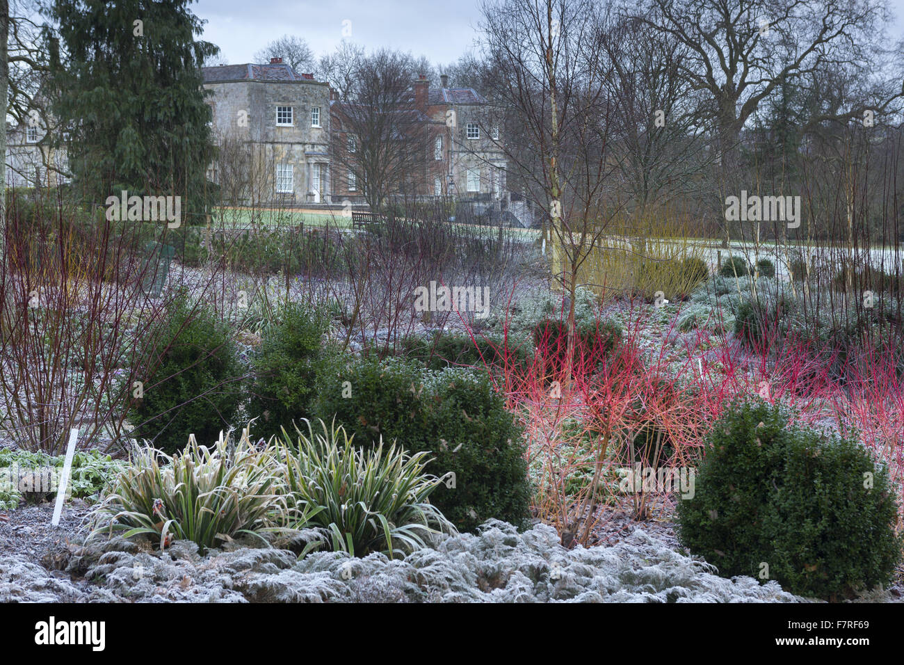 I giardini di Mottisfont, Hampshire, d'inverno. Il giardino presenta alberi antichi, babbling brooks e prati ondulati. Foto Stock