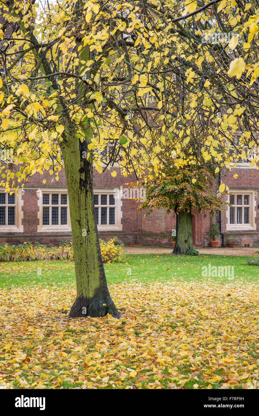 Eastbury Manor House, Essex. Eastbury è un mattone-costruito Tudor gentry house. Foto Stock