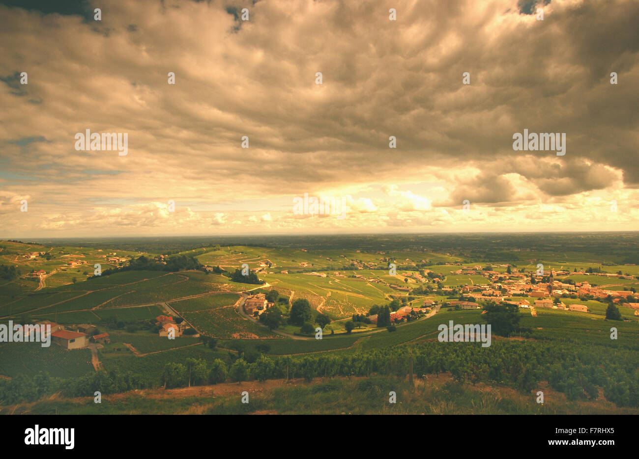 Paesaggio di vigneti a Fleurie, Beaujolais, Francia Foto Stock