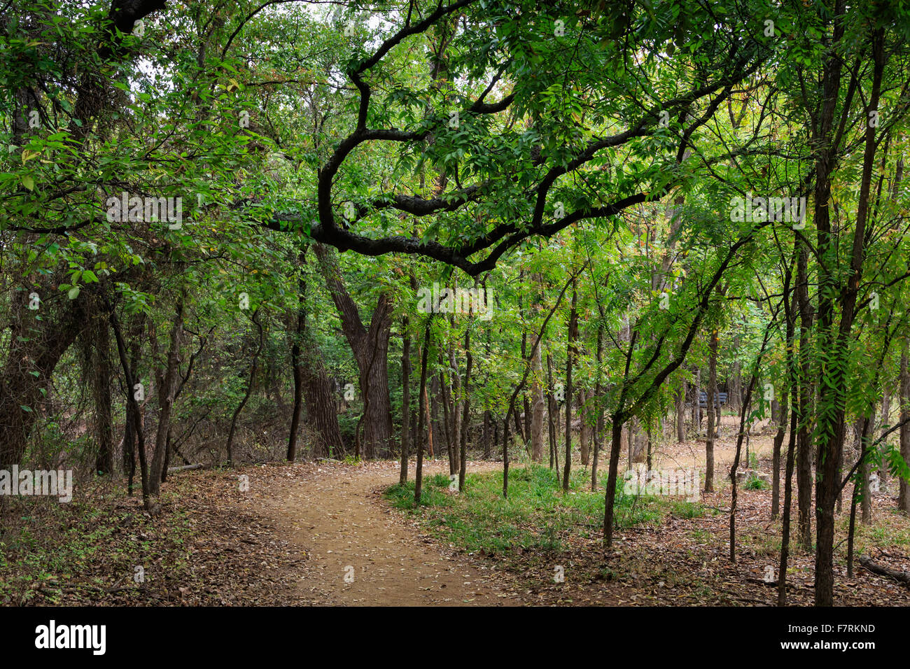 Un avvolgimento percorso a piedi in Oklahoma City's Martin Park Centro Natura. Foto Stock