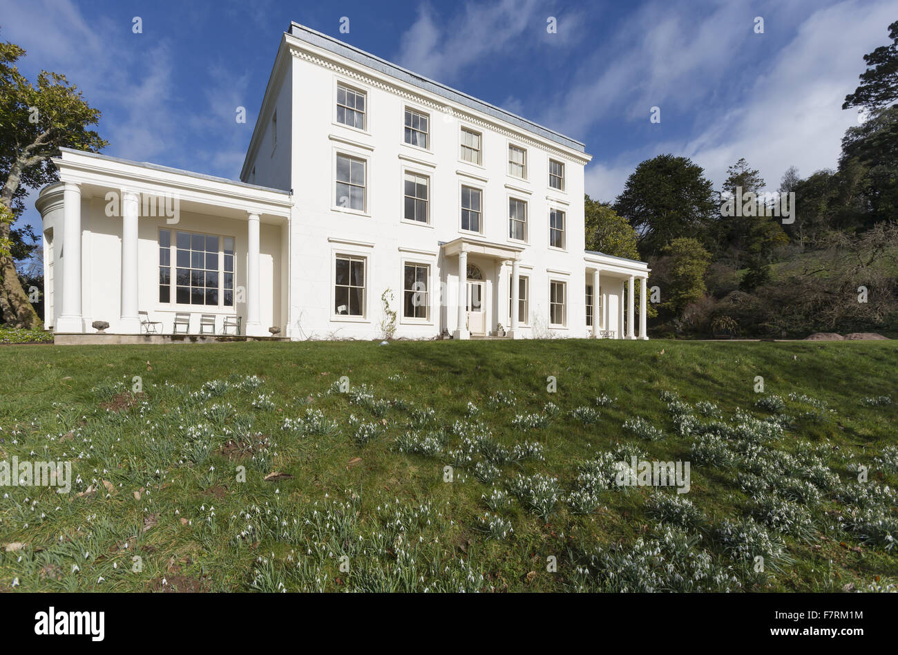 Cerca fino a Greenway, Devon. Foto Stock