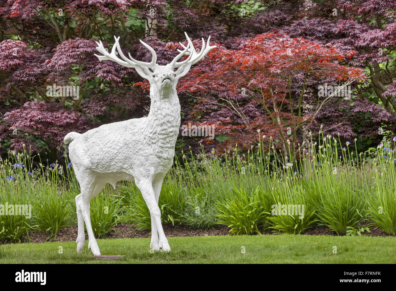 Il Cervo Bianco a Mount Stewart, County Down. Montare Stewart è stato votato come uno dei migliori dieci giardini, e riflette il design e la qualità artistica del suo creatore, Edith, Lady Londonderry. Foto Stock