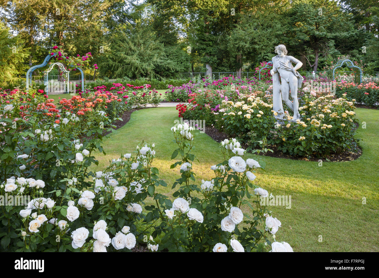 Il Giardino delle Rose in estate a Cliveden, Buckinghamshire. Annidato in alto sopra il fiume Tamigi con viste panoramiche sulla campagna del Berkshire, questi giardini cattura la grandezza di un'era andata. Foto Stock