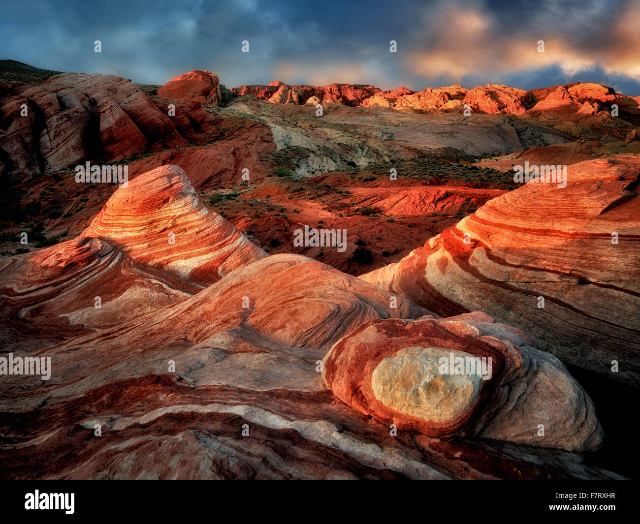 L'onda di fuoco alla prima luce. La valle del fuoco del parco statale, Nevada Foto Stock