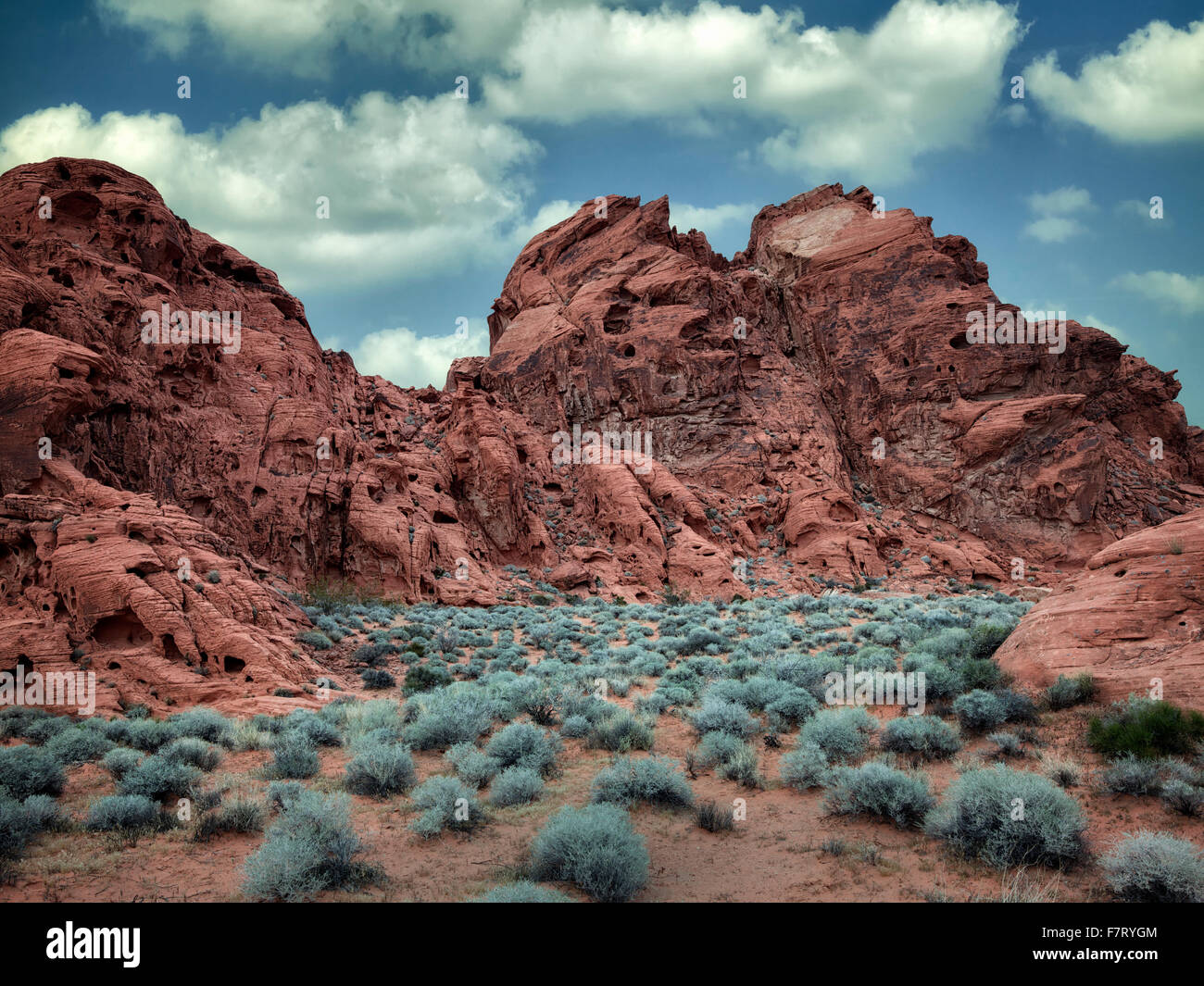 Sagebrush e formazione di roccia. La Valle del Fuoco del parco statale, Nevada Foto Stock
