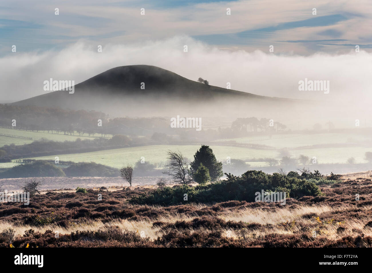 Mattinata nebbiosa Freeborough Hill, North York Moors National Park Foto Stock