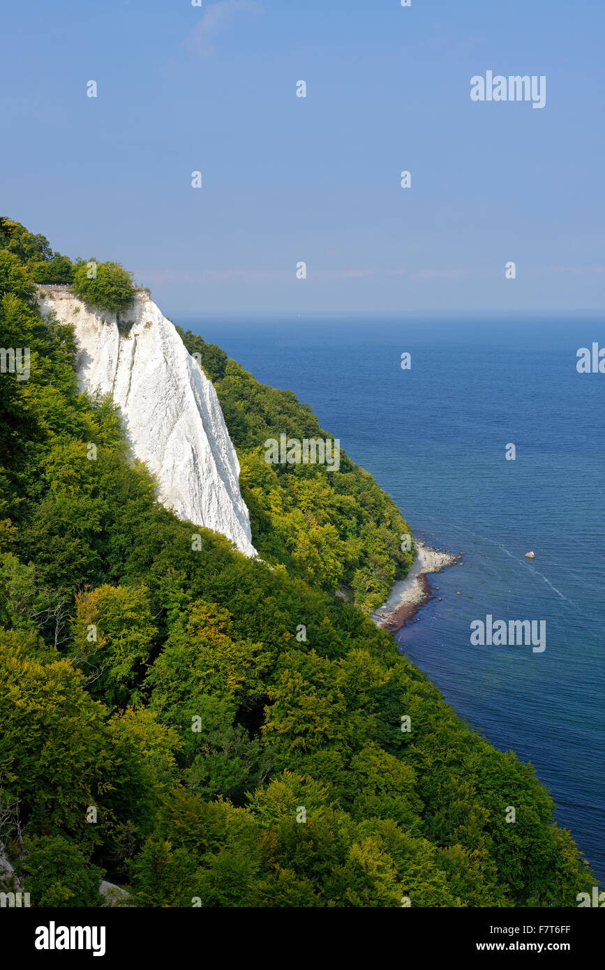 Vista del Königstuhl, Re della collina del sedile, chalk cliffs, Jasmund National Park, Sassnitz, Mar Baltico, Rügen Foto Stock