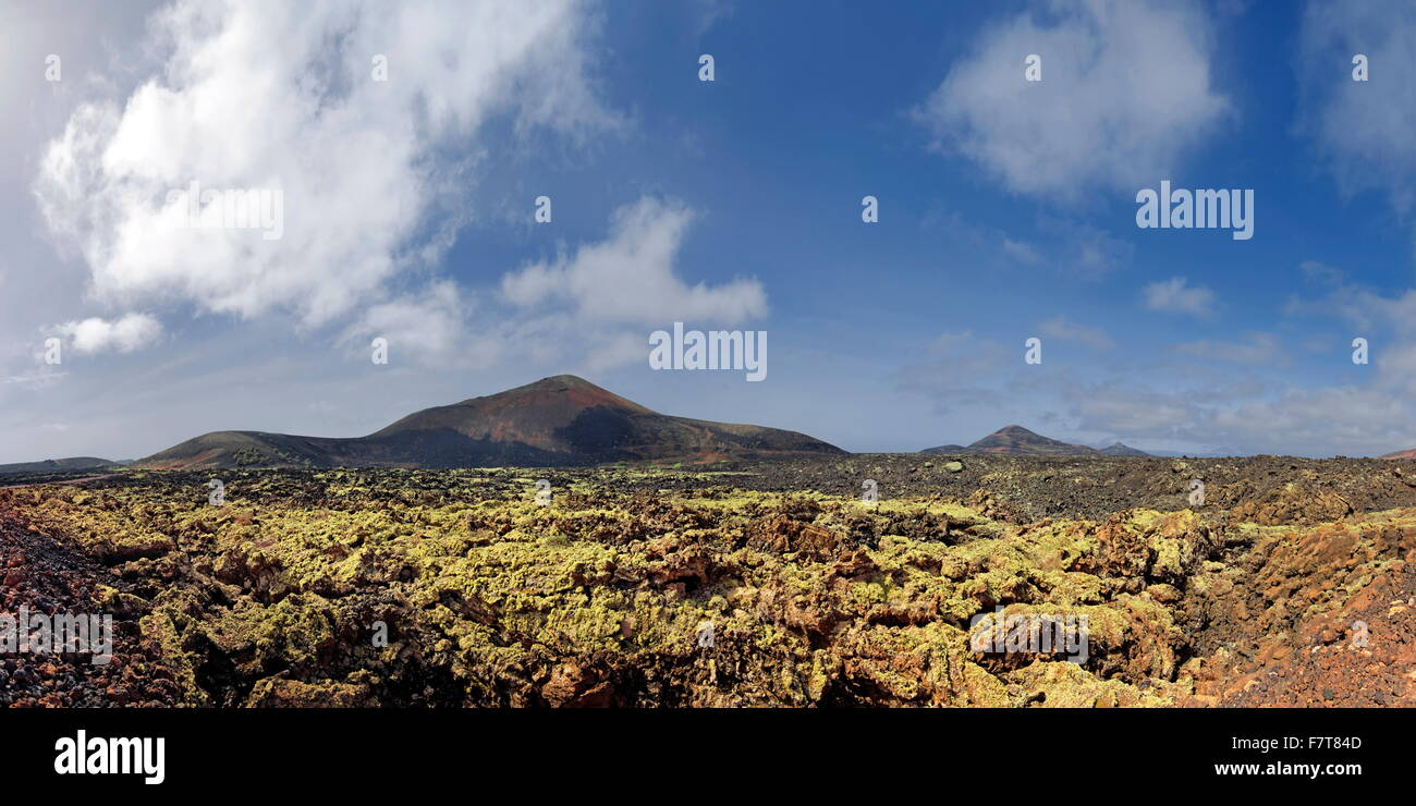 Montana Ortiz, lichen, lava, Mancha Blanca, Lanzarote, Isole Canarie, Spagna Foto Stock