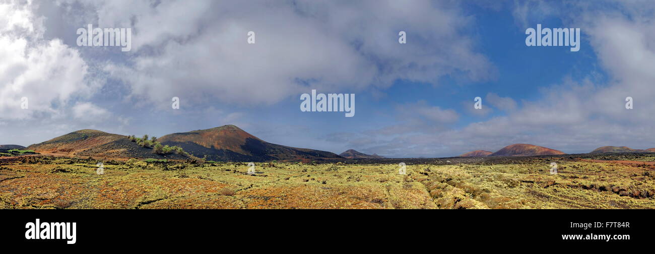 Montana Ortiz, lichen, lava, Mancha Blanca, Lanzarote, Isole Canarie, Spagna Foto Stock