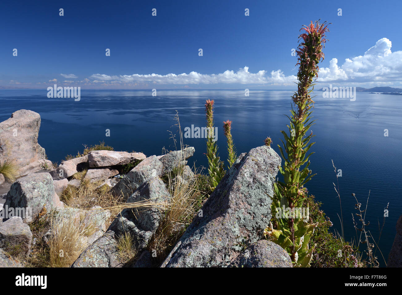 Il lago Titicaca, Copacabana, Bolivia Foto Stock