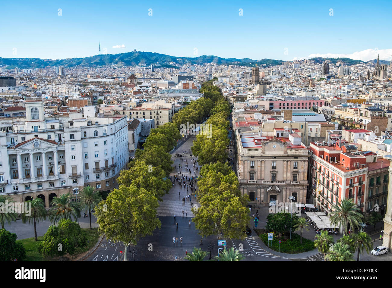Vista del centro storico con Las Ramblas, La Rambla, Barcelona, Catalogna, Spagna Foto Stock