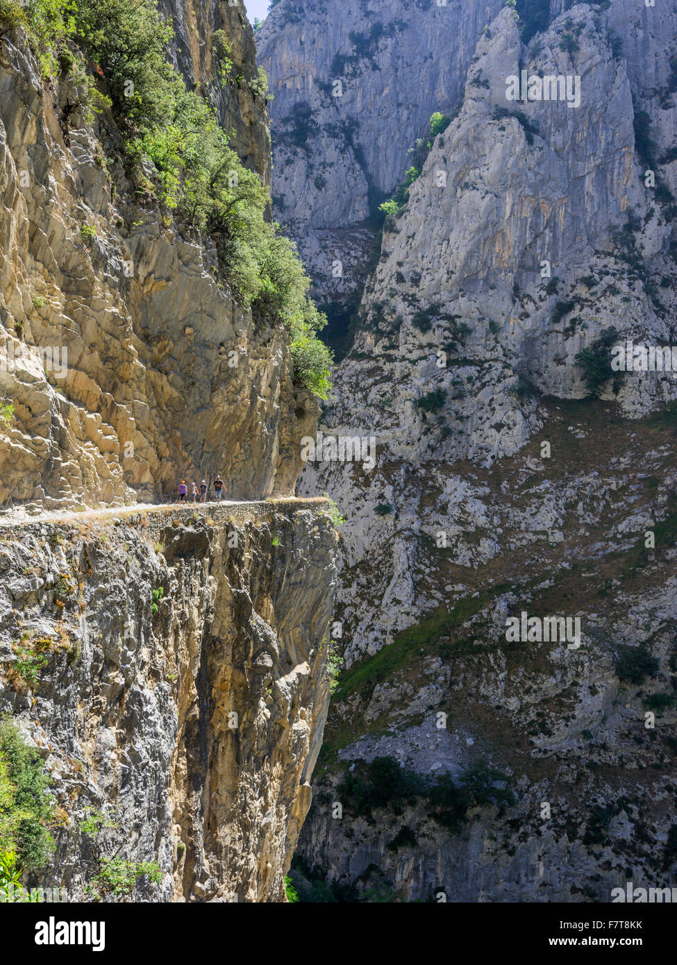 Sentiero escursionistico su uno scoglio attraverso la Gola di Cares, Parco Nazionale Picos de Europa, Caino, Castilla y León, Spagna Foto Stock