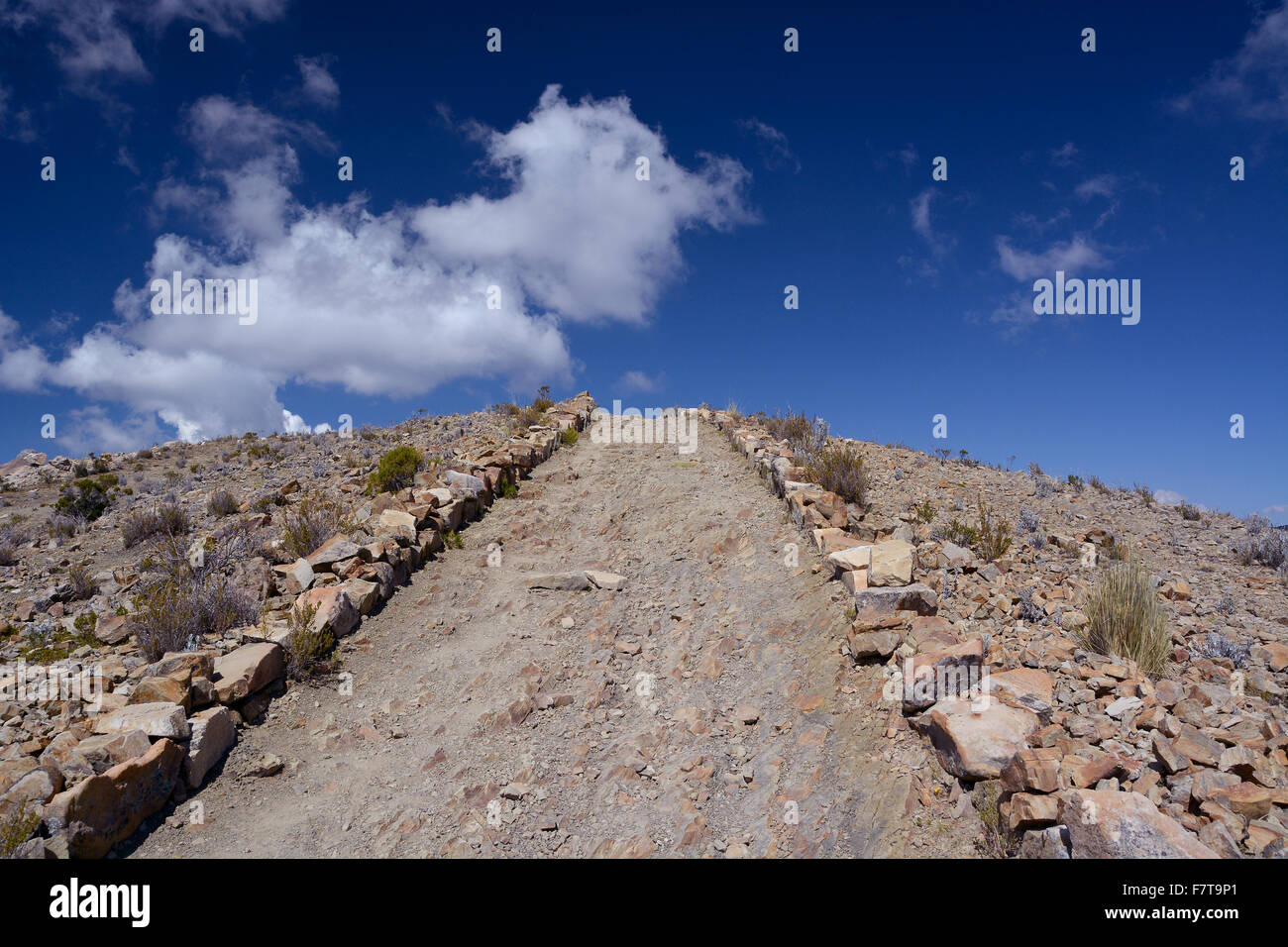 Sentiero attraverso aridi terreni sassosi, Isla del Sol, isola del sole, il lago Titicaca, Bolivia Foto Stock