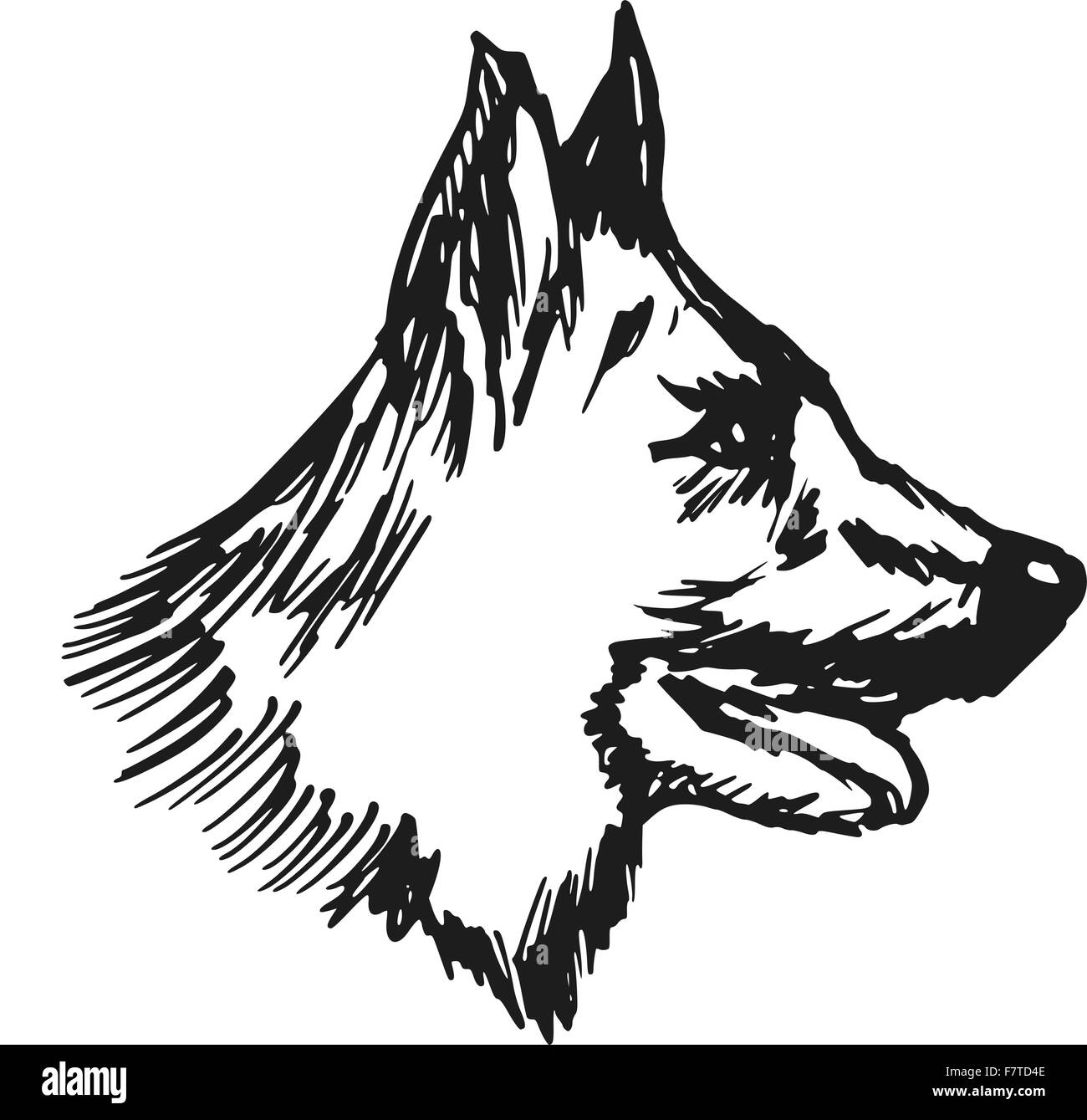 Pastore Tedesco Della Testa Di Cane Di Razza Illustrazione Vettoriale - Foto 2