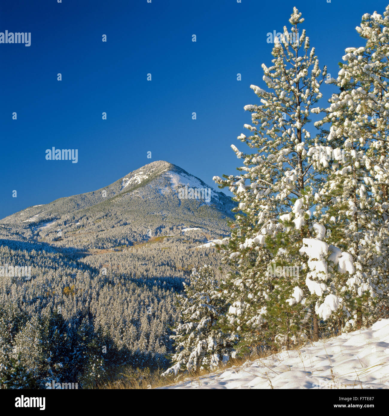 neve sulla montagna baldy nelle montagne bearpaw vicino a ragazzo roccioso, montana Foto Stock