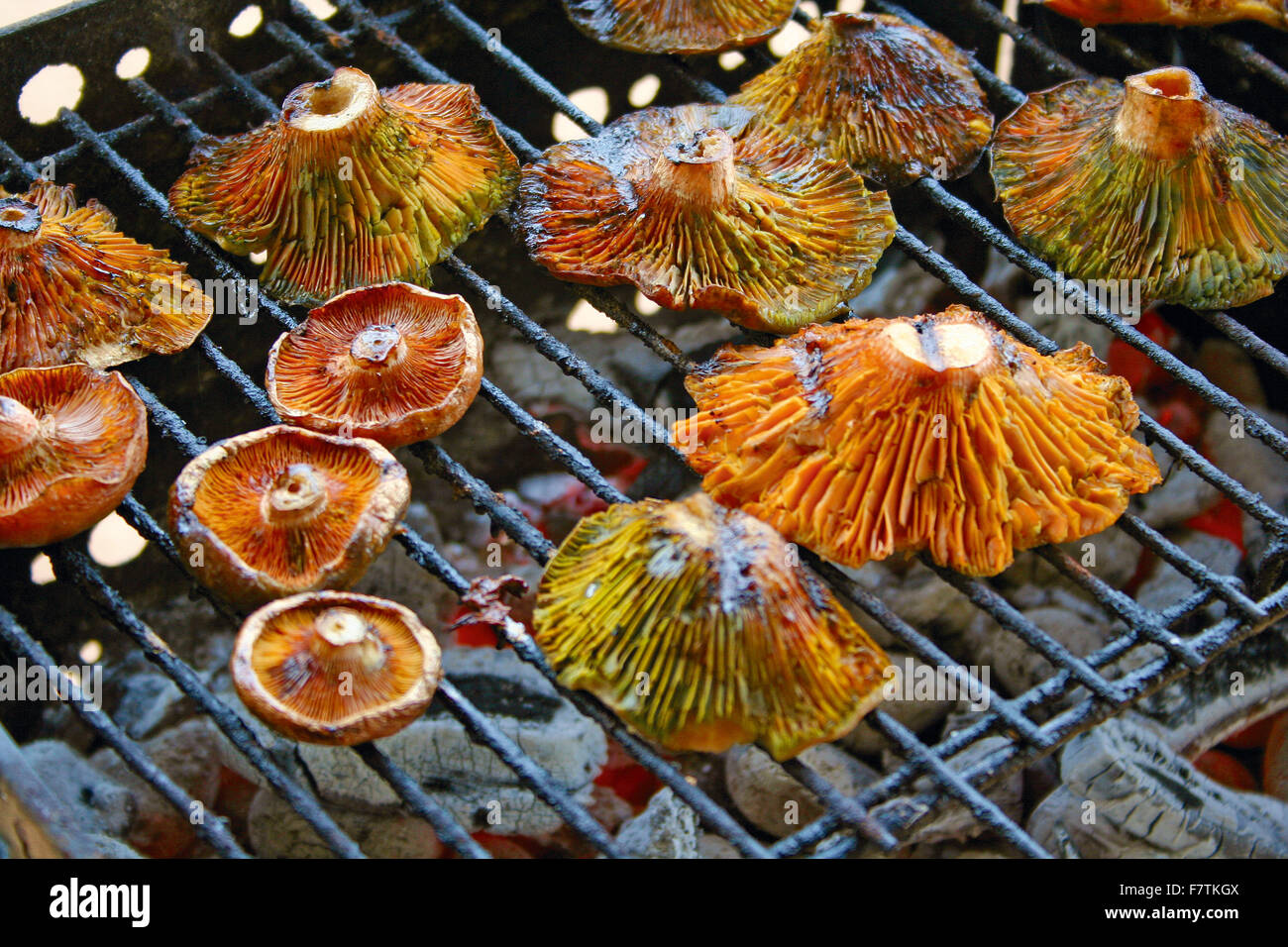 Funghi essendo preparato su un barbecue grill Foto Stock