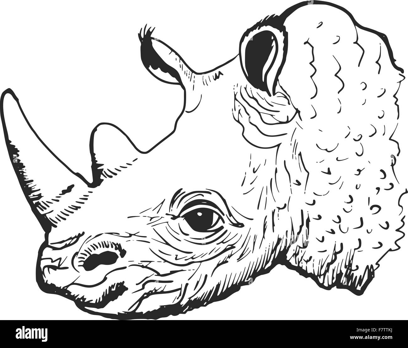 rinoceronte Illustrazione Vettoriale